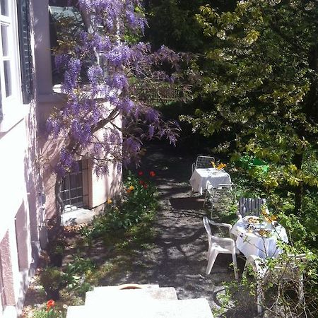 Garden Studio Apartment Zuerichberg Bilik gambar