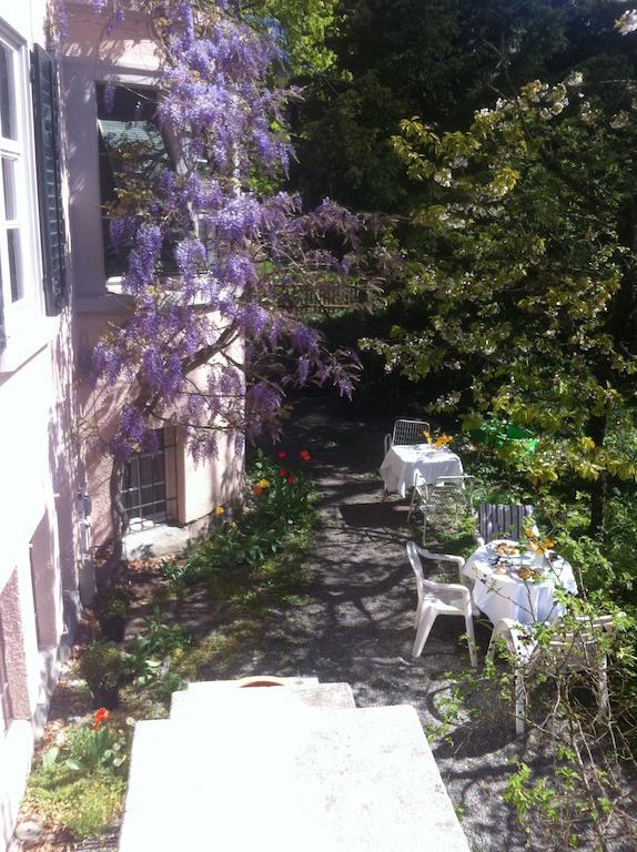 Garden Studio Apartment Zuerichberg Bilik gambar