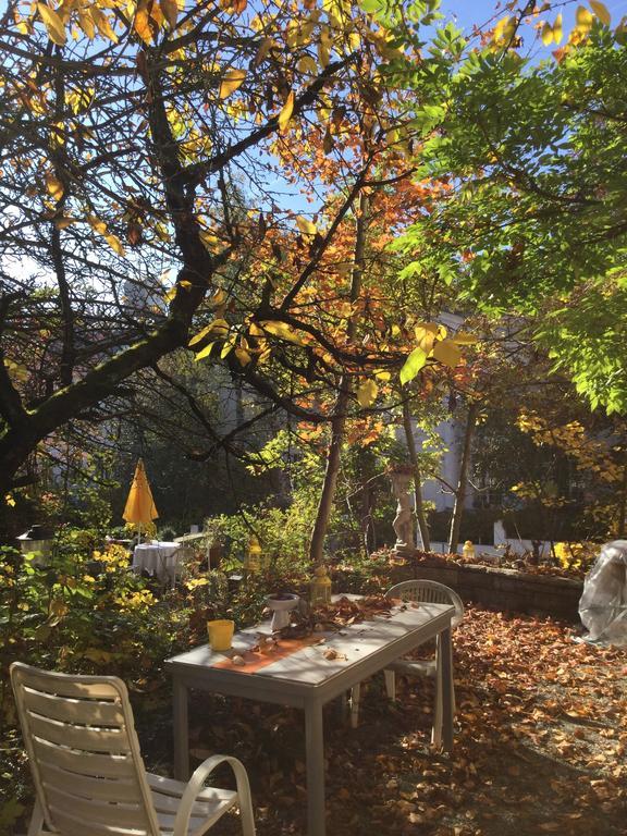 Garden Studio Apartment Zuerichberg Luaran gambar