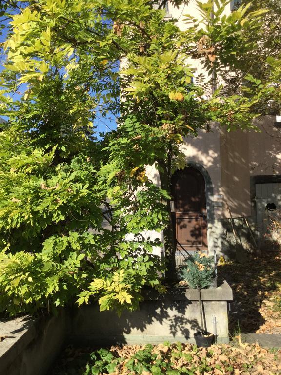 Garden Studio Apartment Zuerichberg Luaran gambar