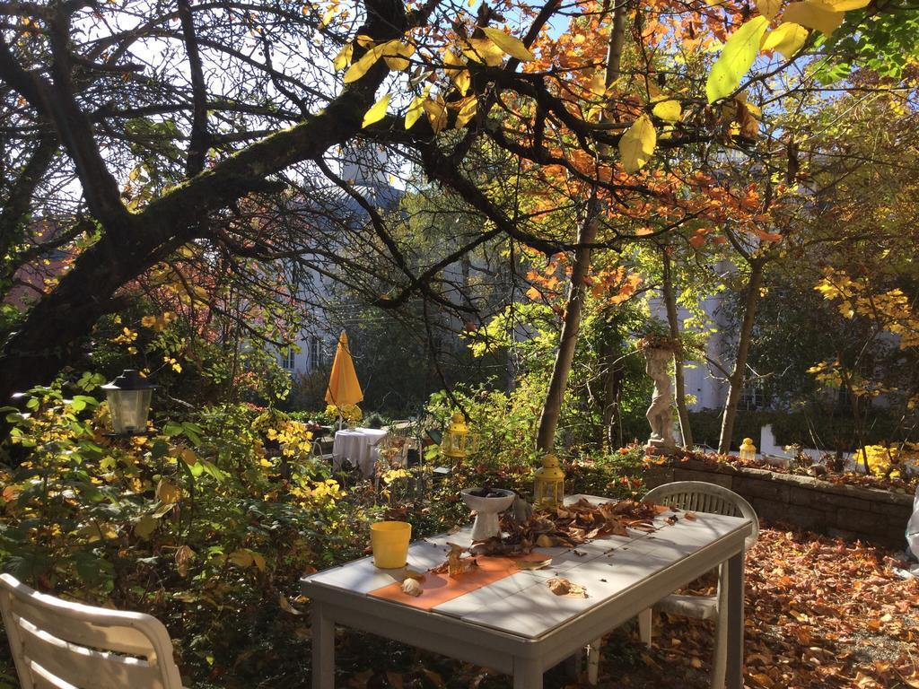 Garden Studio Apartment Zuerichberg Luaran gambar