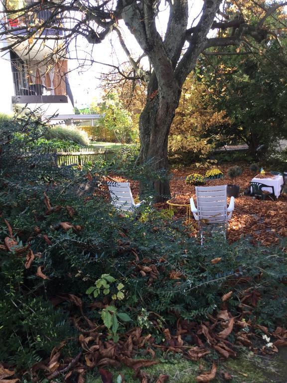 Garden Studio Apartment Zuerichberg Luaran gambar